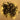 CHRISTMAS LED LIGHTS BLACK WIRE Alostoura lighting