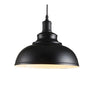 Chandeliers Single Hanging Lamp Pendant Lamps Home Decor LED Pendant Light Alostoura lighting
