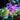 Holiday christmas lights 50Meter Alostoura lighting
