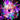 Holiday christmas lights 50Meter Alostoura lighting