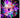 Holiday christmas lights 50Meter Alostoura lighting