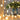 LED LIGHTS DECORATE CHRISTMAS LIGHTS 10METER Alostoura lighting