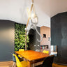 Modern Rope Hanging Monkey Lighting Alostoura lighting