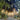Outdoor String Lights E27 Lamp Holder With Bulb G45 Alostoura lighting