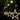 STAR CURTAIN LES STRING LIGHTS Alostoura lighting