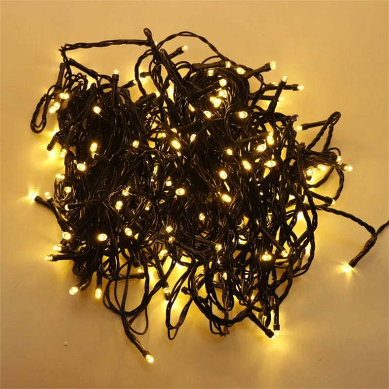 CHRISTMAS LED LIGHTS BLACK WIRE Alostoura lighting