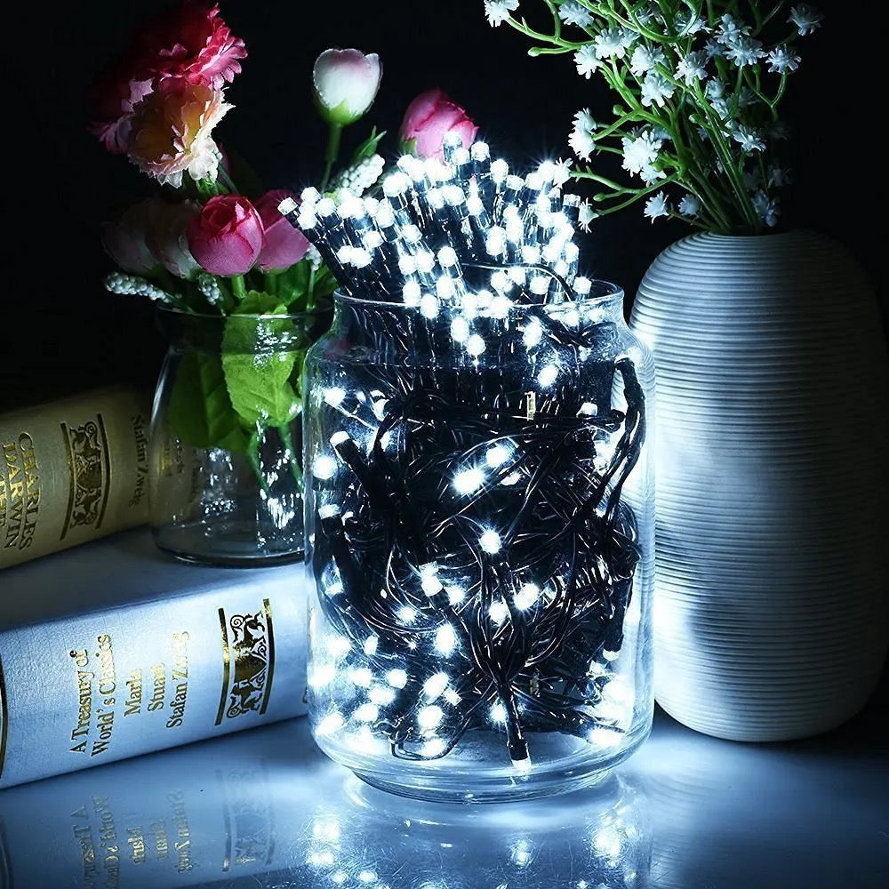 CHRISTMAS LED LIGHTS BLACK WIRE Alostoura lighting