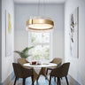 Living room stainless steel LED round chandeliers bedroom acrylic pendant lights Alostoura lighting