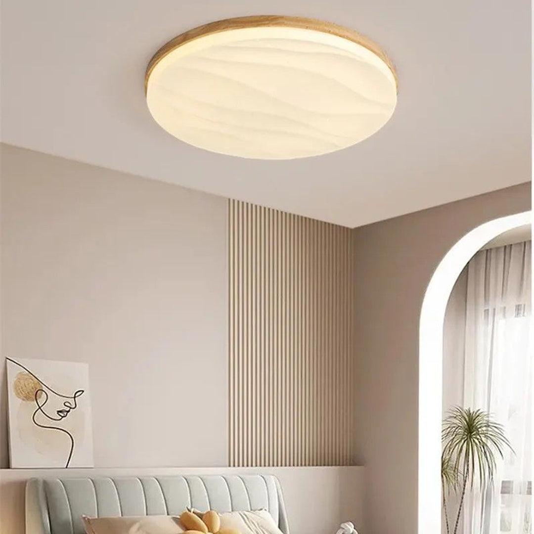 Modern Acrylic Plastic Panel Light Ceiling Lamp Led Ceiling Light Alostoura lighting