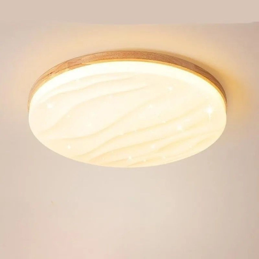 Modern Acrylic Plastic Panel Light Ceiling Lamp Led Ceiling Light Alostoura lighting