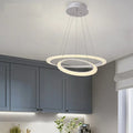 Modern Decoration Coffee Shop Office Hanging Led Chandeliers Ring Pendant Lamp Alostoura lighting
