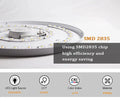 Modern Indoor Living Room Decorative Led Ceiling Light Alostoura lighting