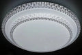 Modern Indoor Living Room Decorative Led Ceiling Light Alostoura lighting