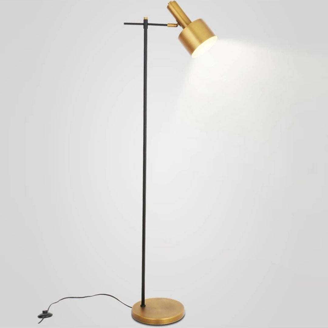 Modern Simple LED Floor Lamp Gold Metal Plated Standing Light Art Decorative Home Lamp Alostoura lighting