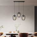New modern Hanging pendant For Indoor Alostoura lighting