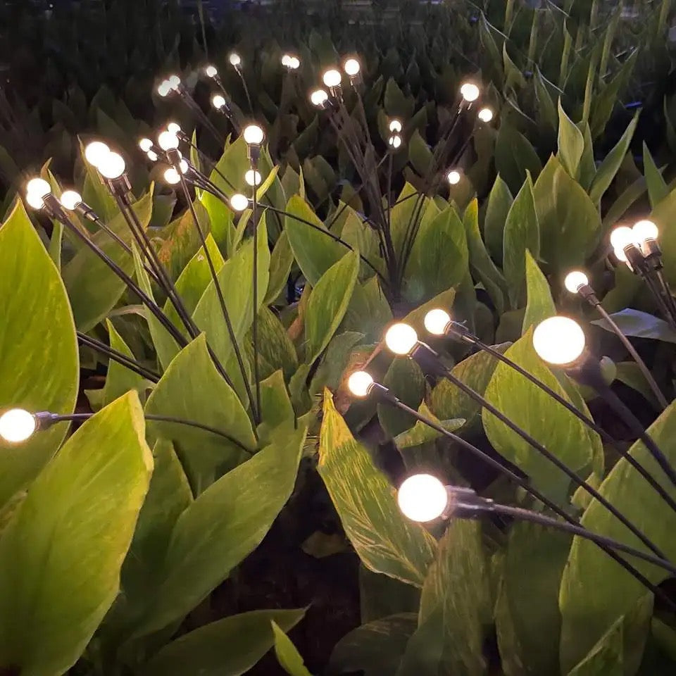 Solar Firefly Lights Alostoura lighting