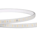 Strip Light 2835-120 50 METER 220V Alostoura lighting