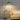 Lilwa black and gold floor lamp